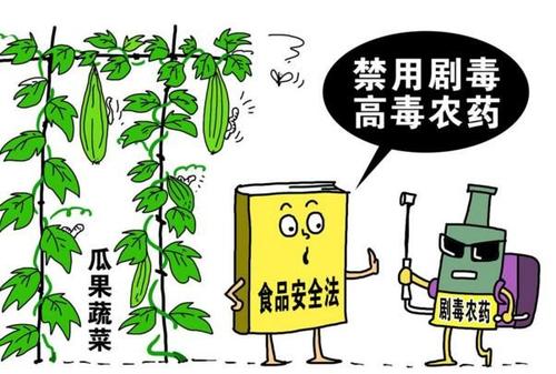 茶叶农残检测仪让我们的茶叶更安全